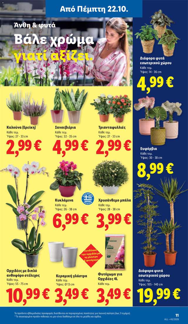 Νέο φυλλάδιο Lidl από τις 22/10