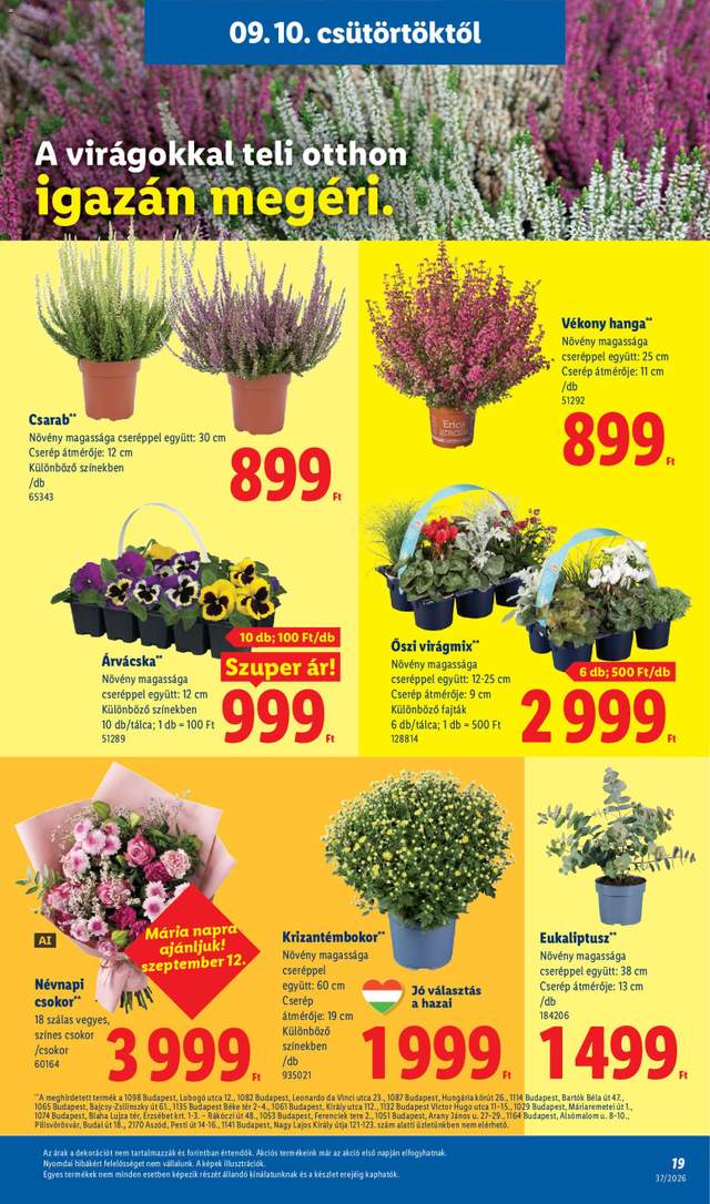 Új Lidl akciós újság 09.10.