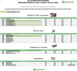 Prévisualisation de Promocash Opportunités Marée du magasin Promocash formulaire valide 30/06/2026