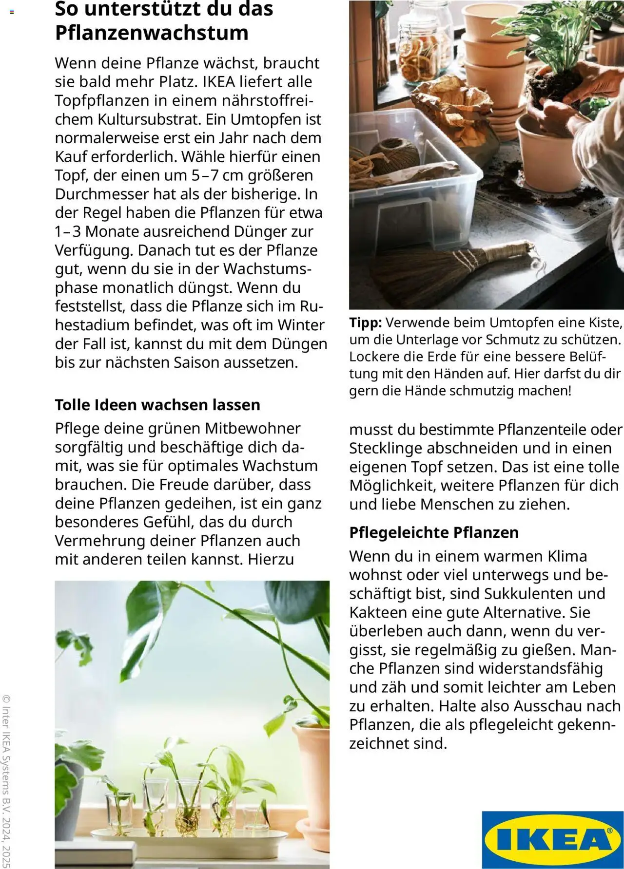 Vorschau von dem Prospekt des Geschäftes Ikea, gültig ab dem 30.09.2025