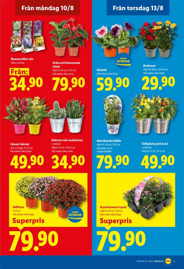 Nytt Lidl reklamblad från 10/08