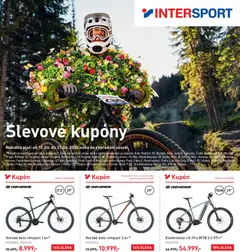 Náhled nabídky: Intersport Intersport leták platný od 10.06.2026