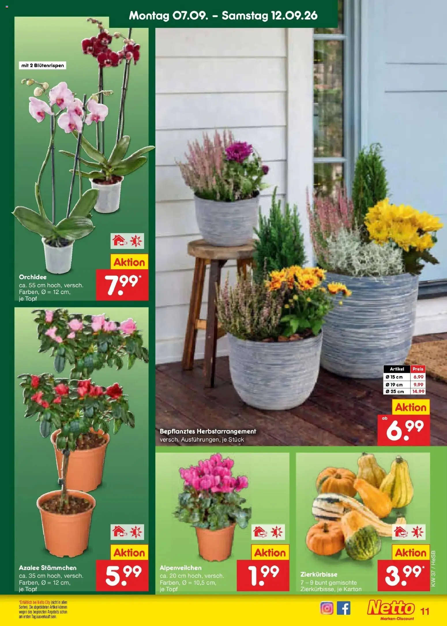 Vorschau von dem Prospekt des Geschäftes Netto Marken-Discount, gültig ab dem 07.09.2026 - Orchidee