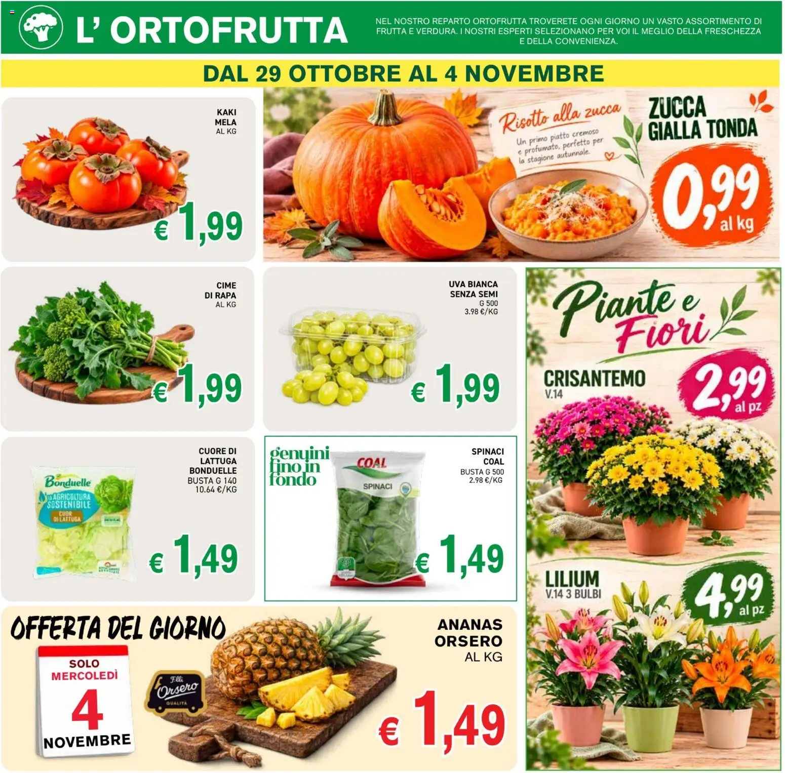 Anteprima dell'opuscolo Coal volantino èccoMi Guardiagrele dal negozio Coal valido da 22/10/2026 - Fiori, Zucca, Frutta, Piatto, Ananas, Spinaci, Uva, Lattuga