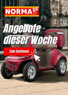 Netto Marken-Discount Produktkatalog ab 23.06.2026 gültig