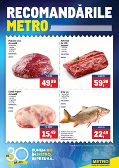 Previzualizarea de cataloage: Metro Metro Catalog valabil de la 14.09.2026