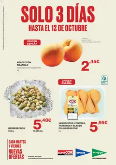 Vista previa del folleto de la tienda Hipercor válido desde el 09/10/2026 