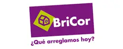 Logo de BriCor logo
