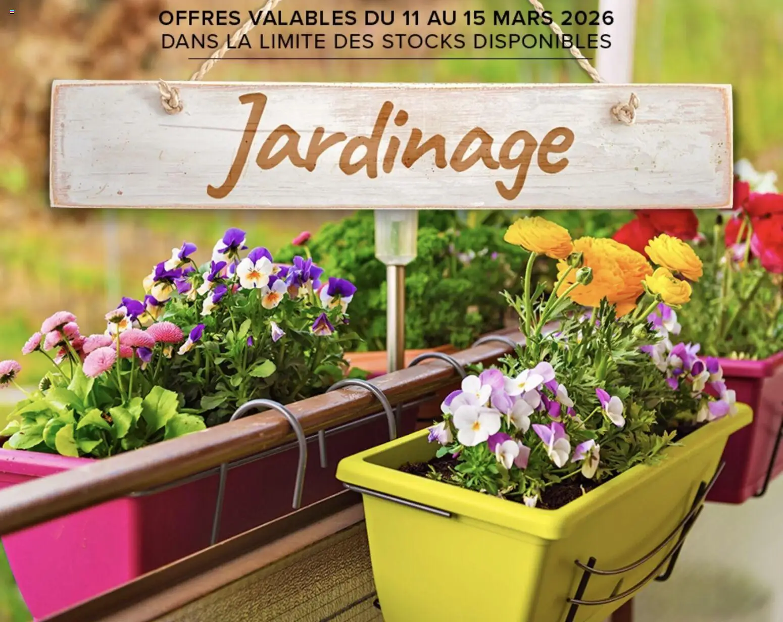 Prévisualisation de Costco Jardinage du magasin Costco formulaire valide 11/03/2026 - Jardinage