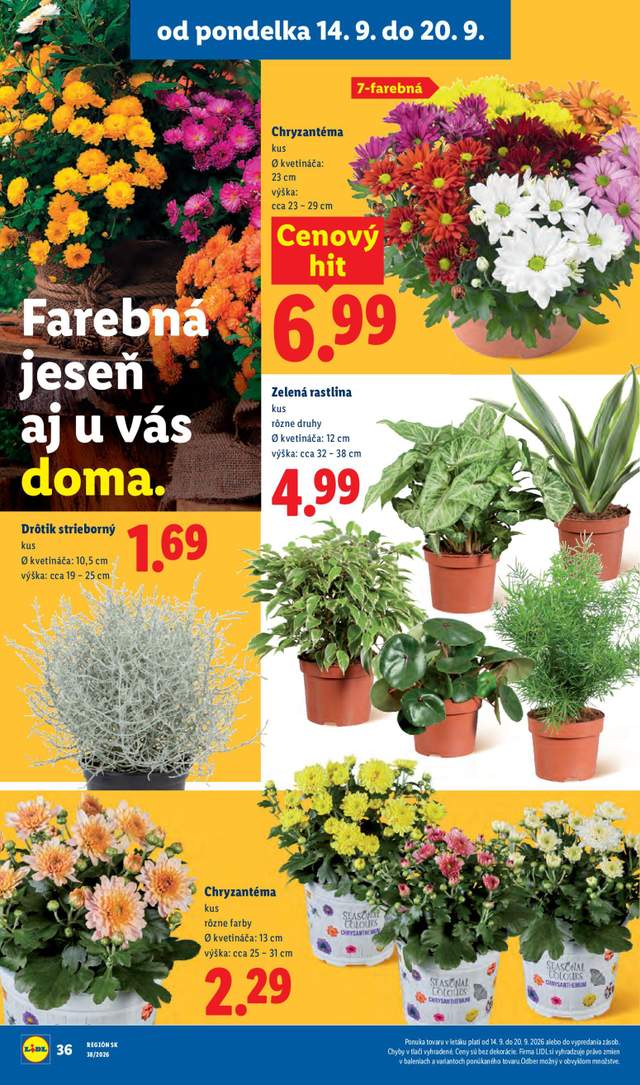 Nový Lidl leták od 14.09.