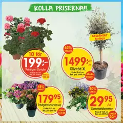 Förhandsgranska reklamblad EKO erbjudanden från butik EKO gäller från 04/05/2026
