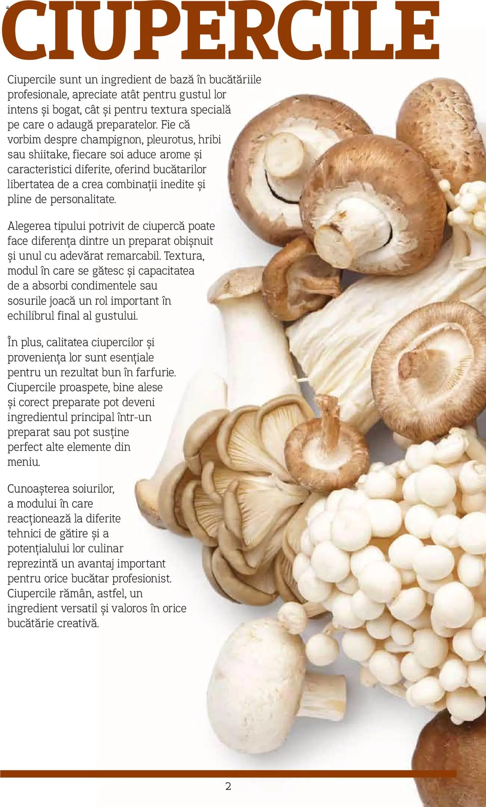 Previzualizarea de cataloage: Metro Catalog - Varietăți de Ciuperci valabil de la 10.11.2025