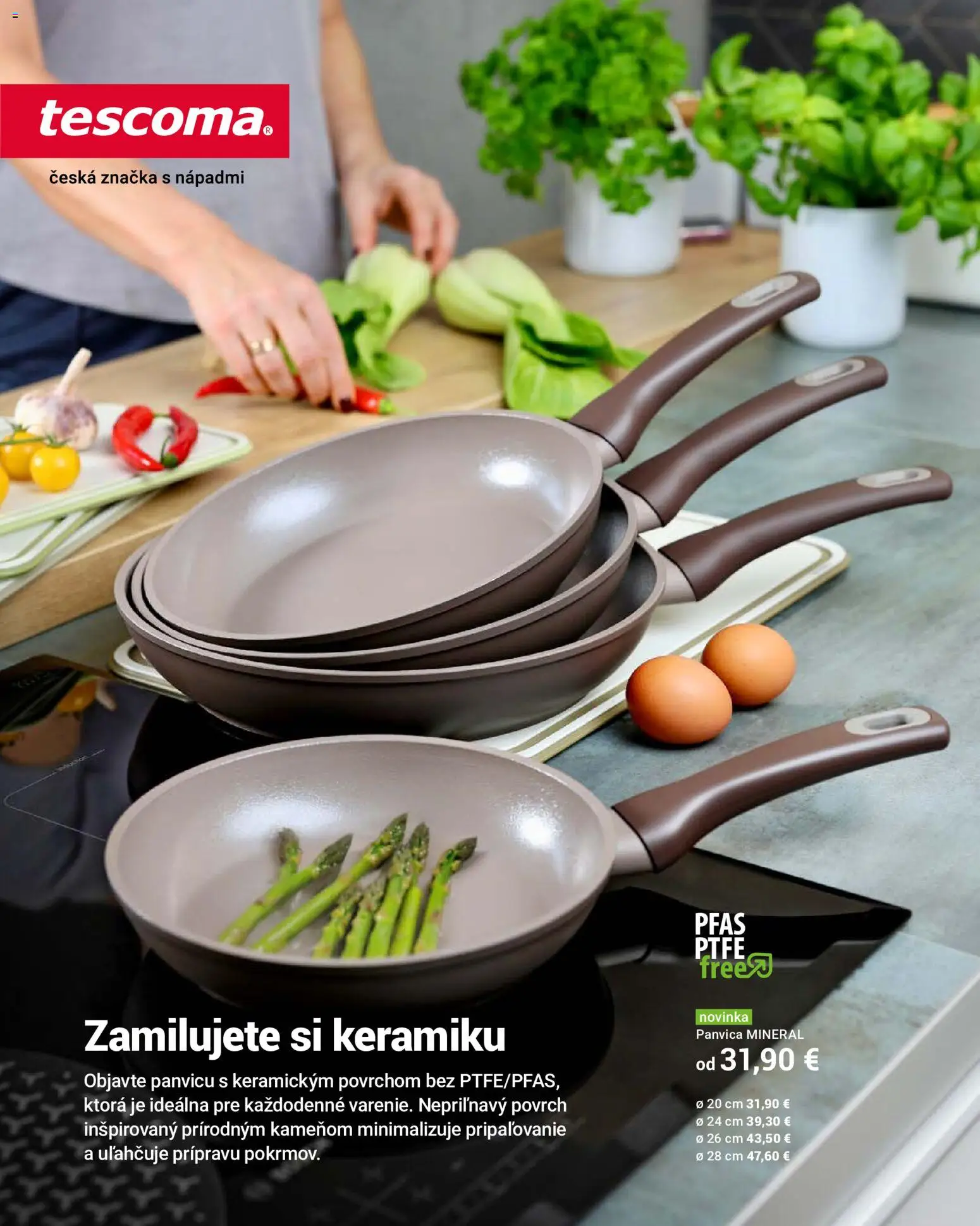 Náhľad TESCOMA letáku platného od 01.06.2026 - Panvica