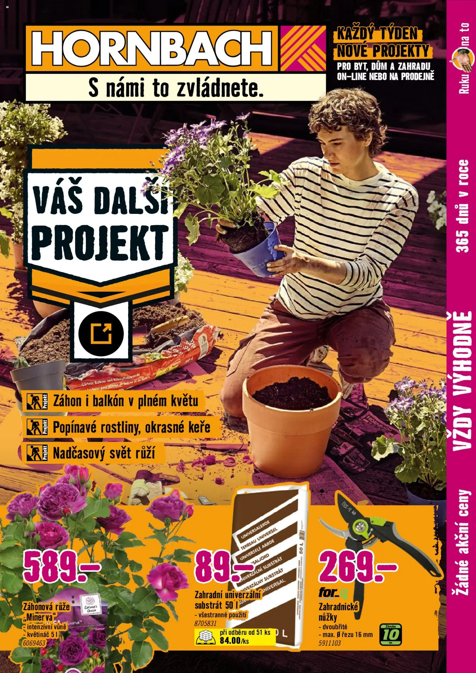 Náhled nabídky: HORNBACH HORNBACH leták - Letničky platný od 15.07.2026