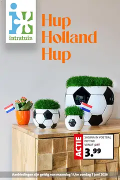 Voorbeeld van Intratuin folder van winkel Intratuin geldig vanaf 01-06-2026