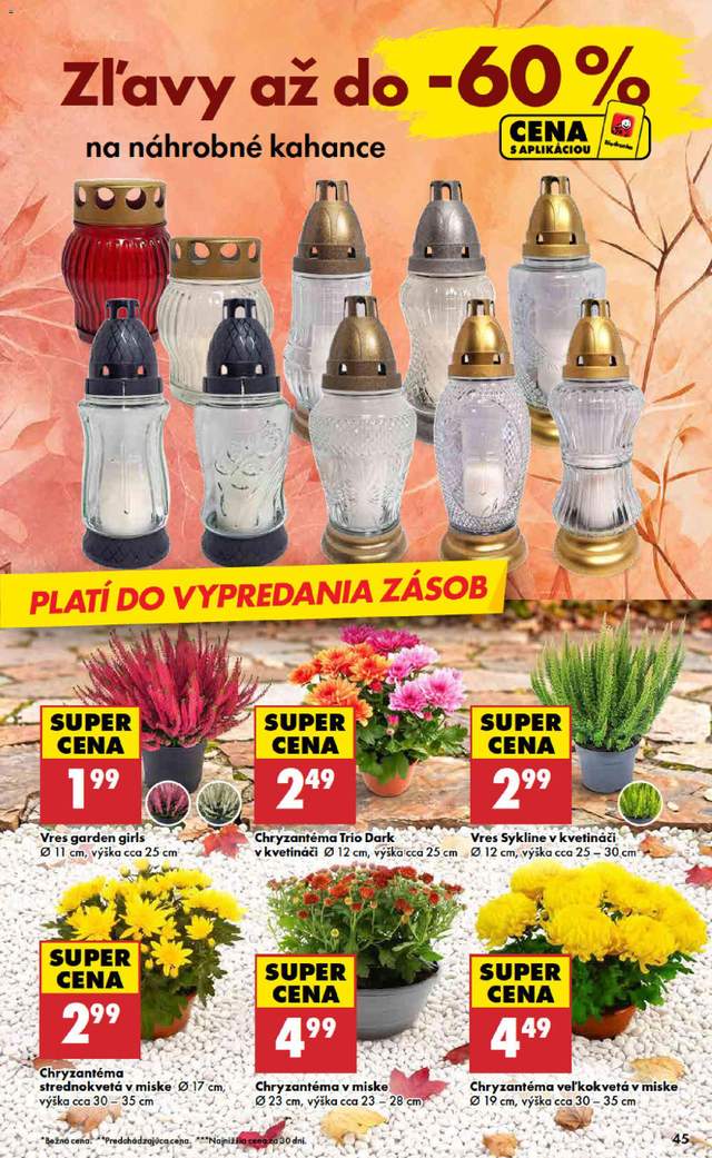 Nový Biedronka leták od 29.10.