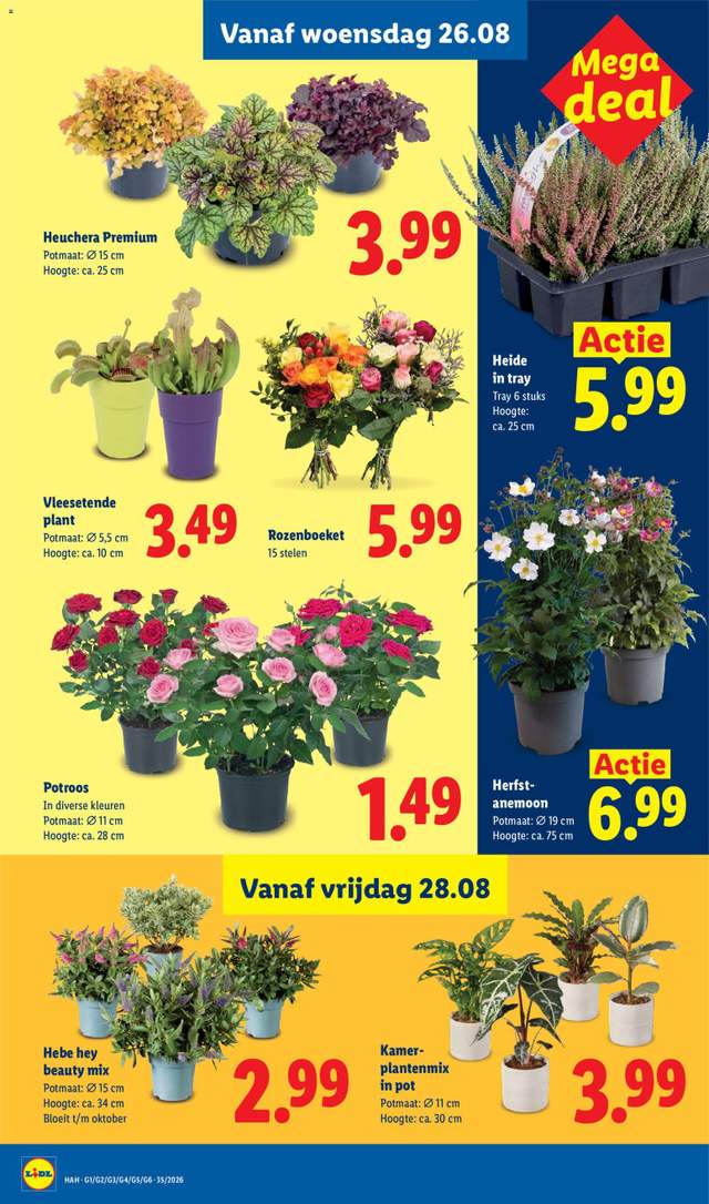 Nieuwe Lidl folder vanaf 24-08