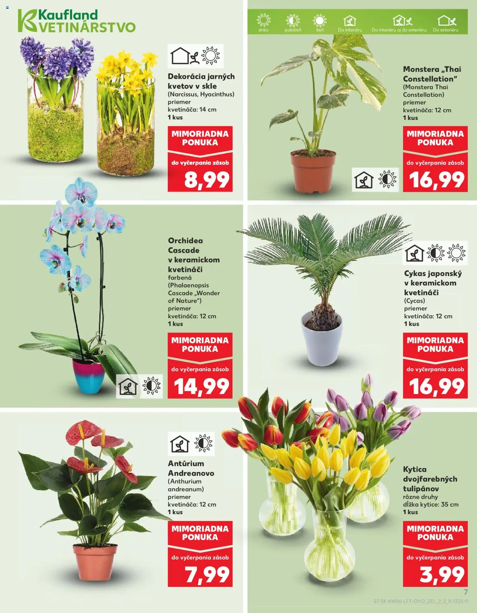 Náhľad Kaufland letáku platného od 05.02.2026 - Orchidea