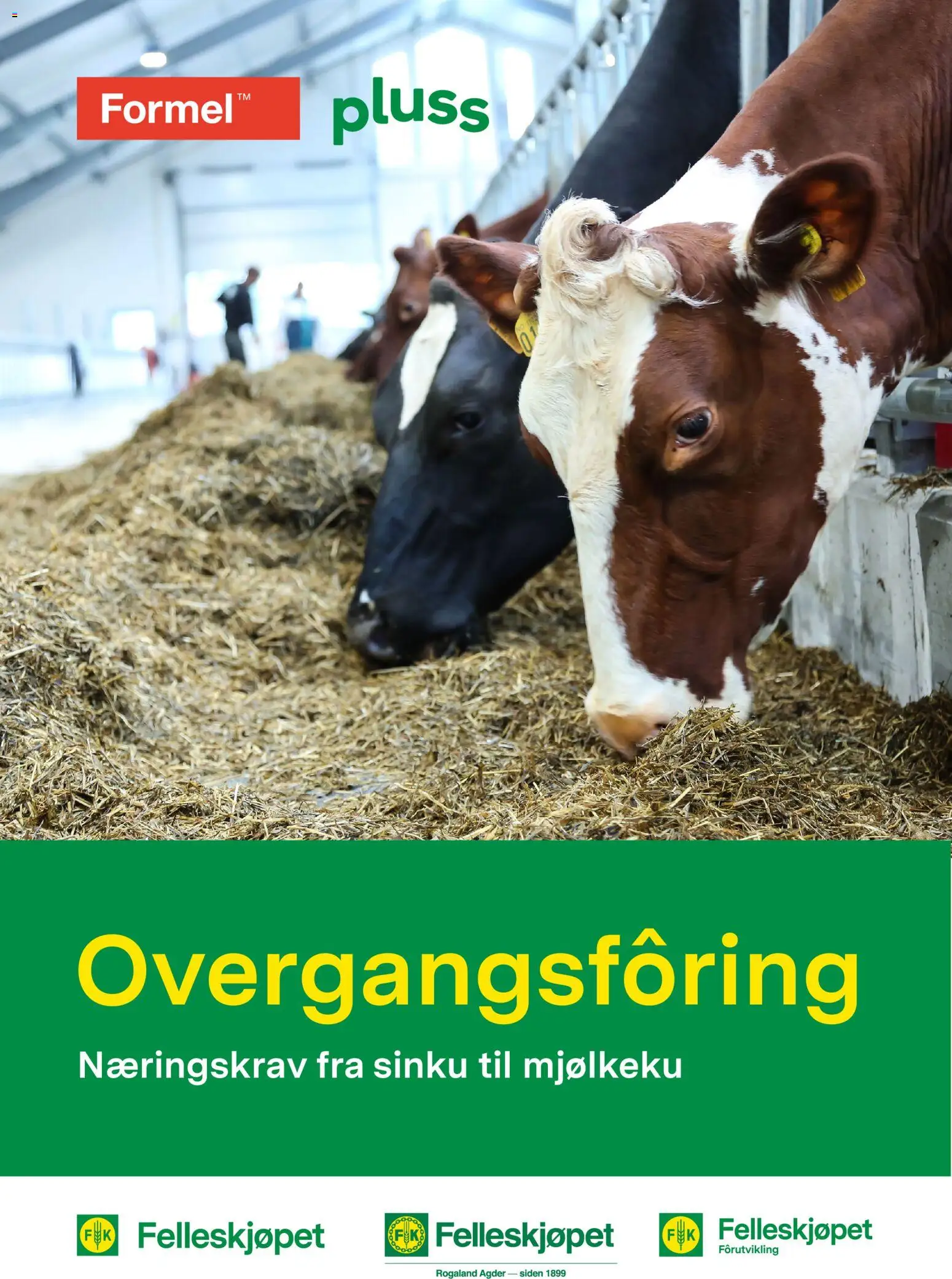 Forhåndsvis Felleskjøpet Overgangsfôring fra butikk Felleskjøpet gyldig fra 03/06/2026