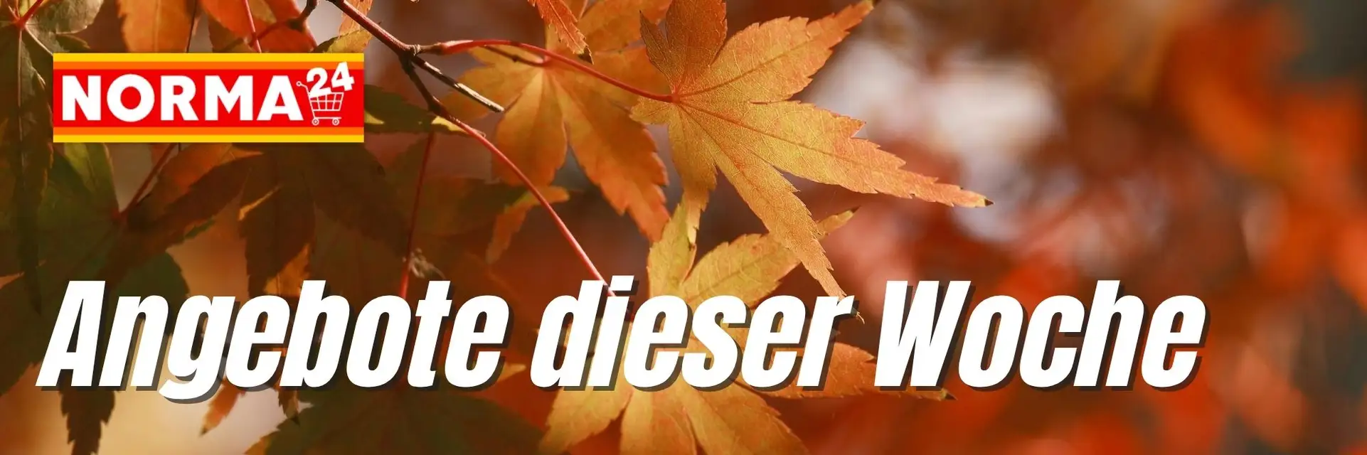 Angebote dieser Woche