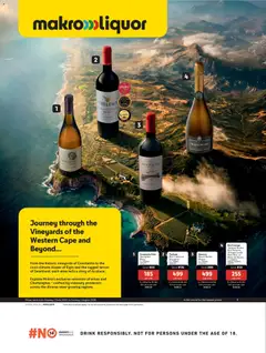 Preview of Makro flyer valid from 01/06/2026