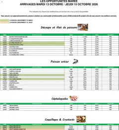 Prévisualisation de Promocash Opportunités Marée du magasin Promocash formulaire valide 13/10/2026