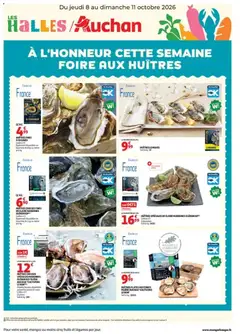 Voorbeeld van Auchan Foire aux Huitres van winkel Auchan geldig vanaf 08/10/2026