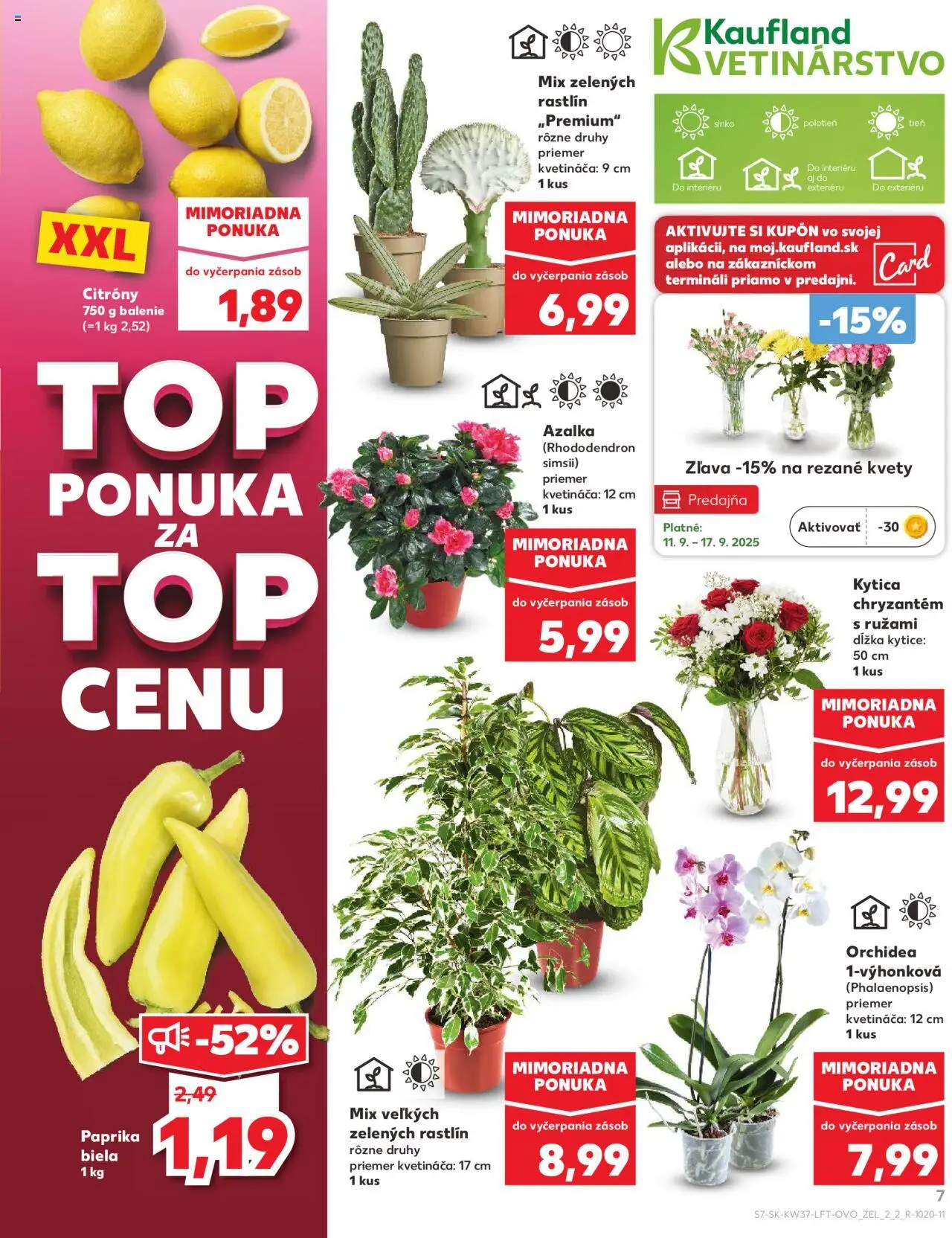Náhľad Kaufland letáku platného od 11.09.2025 - Kvety, Paprika, Orchidea, Citróny