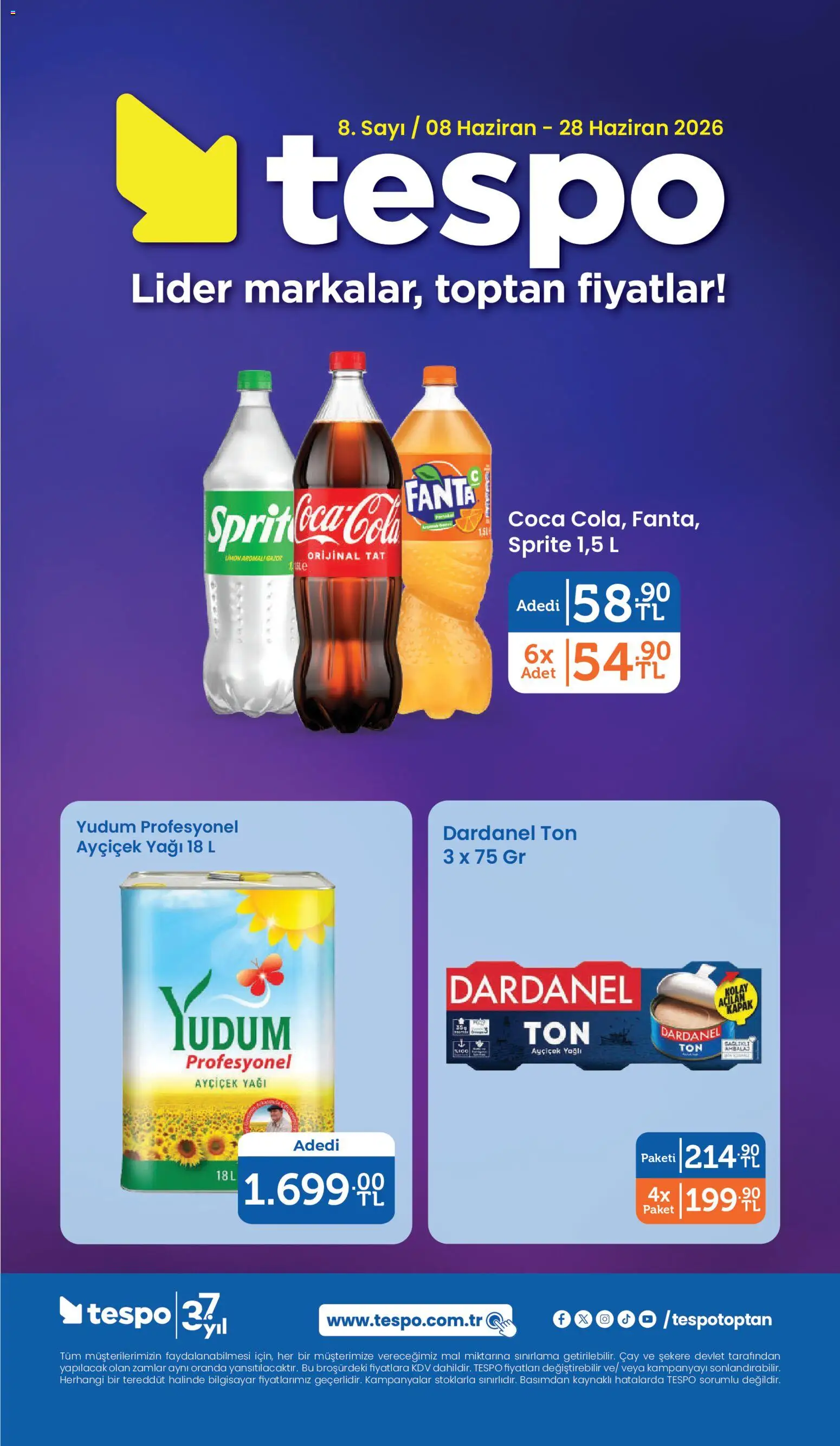 Tespo Tespo Katalog 08.06.2026 - Broşürünün önizlemesi