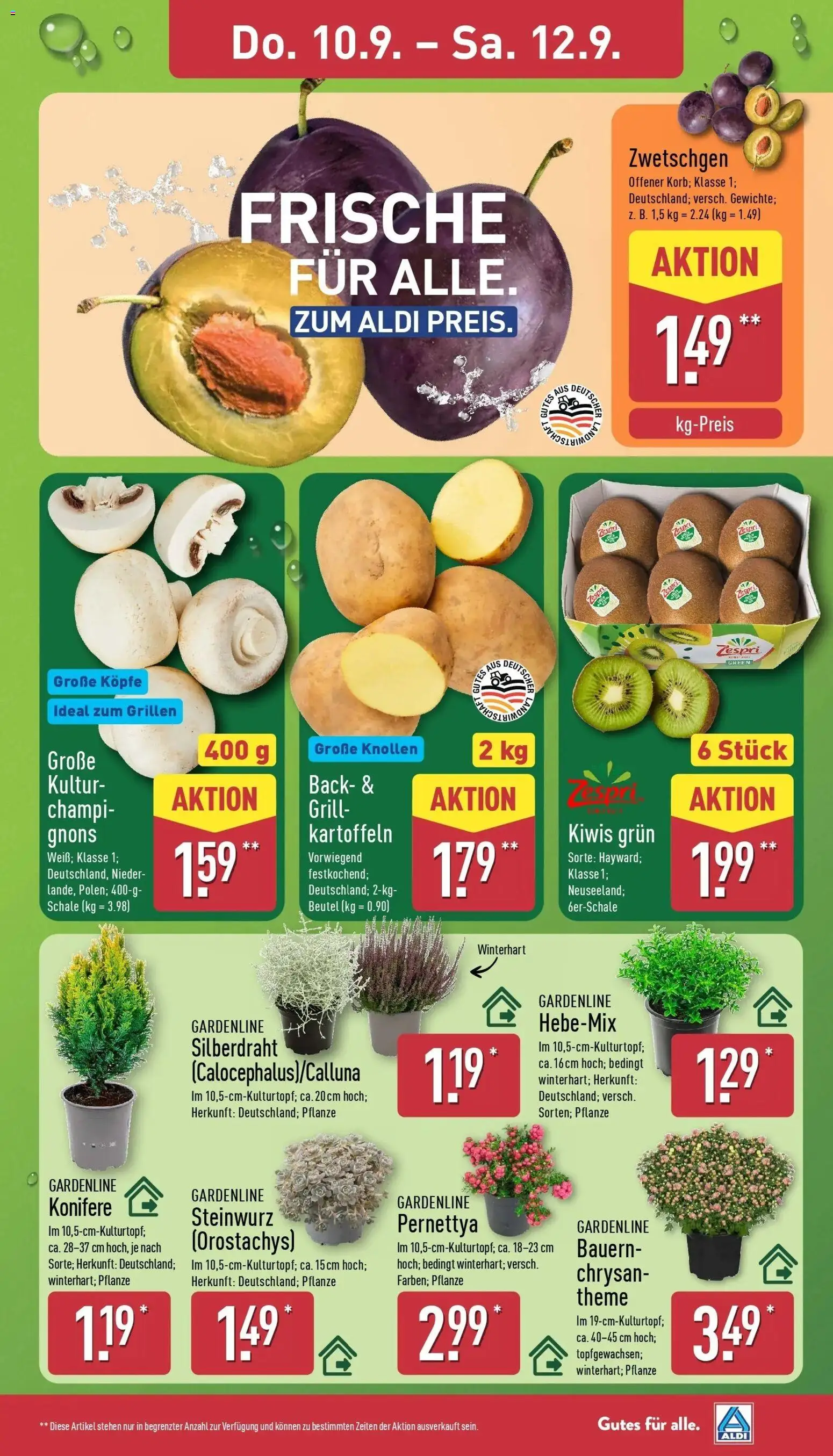 Vorschau von dem Prospekt des Geschäftes Aldi, gültig ab dem 07.09.2026 - Grill, Zwetschgen, Kartoffeln, Saft