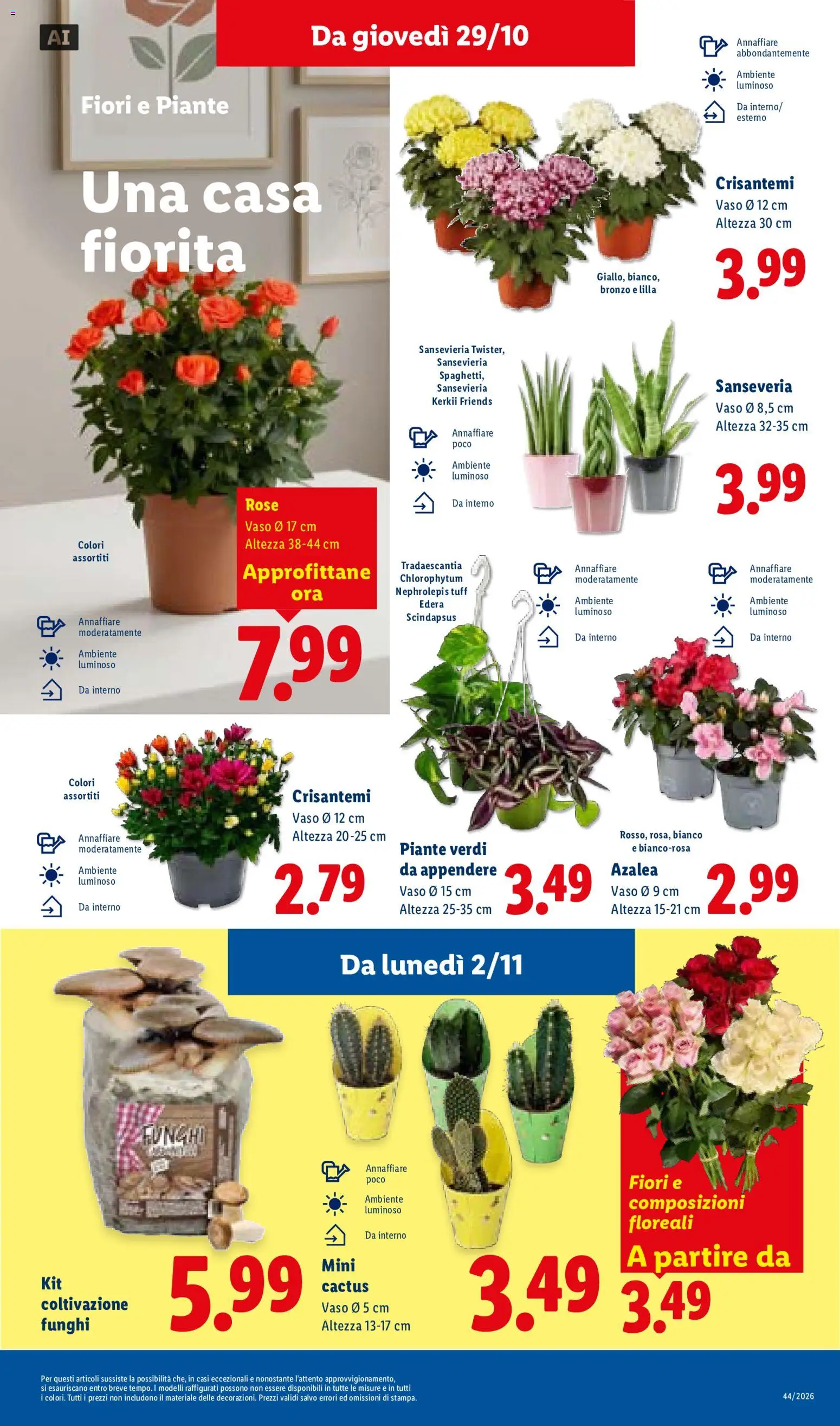 Anteprima dell'opuscolo Lidl volantino Sicilia dal negozio Lidl valido da 29/10/2026 - Fiori, Funghi, Cactus, Crisantemi, Vaso