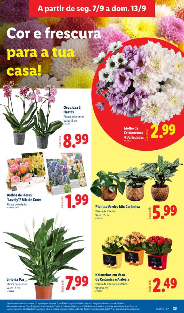 Novo folheto Lidl a partir de 07/09