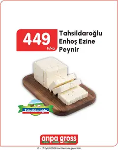 Anpa Gross Anpa Gross Katalog 10.09.2026 - Broşürünün önizlemesi