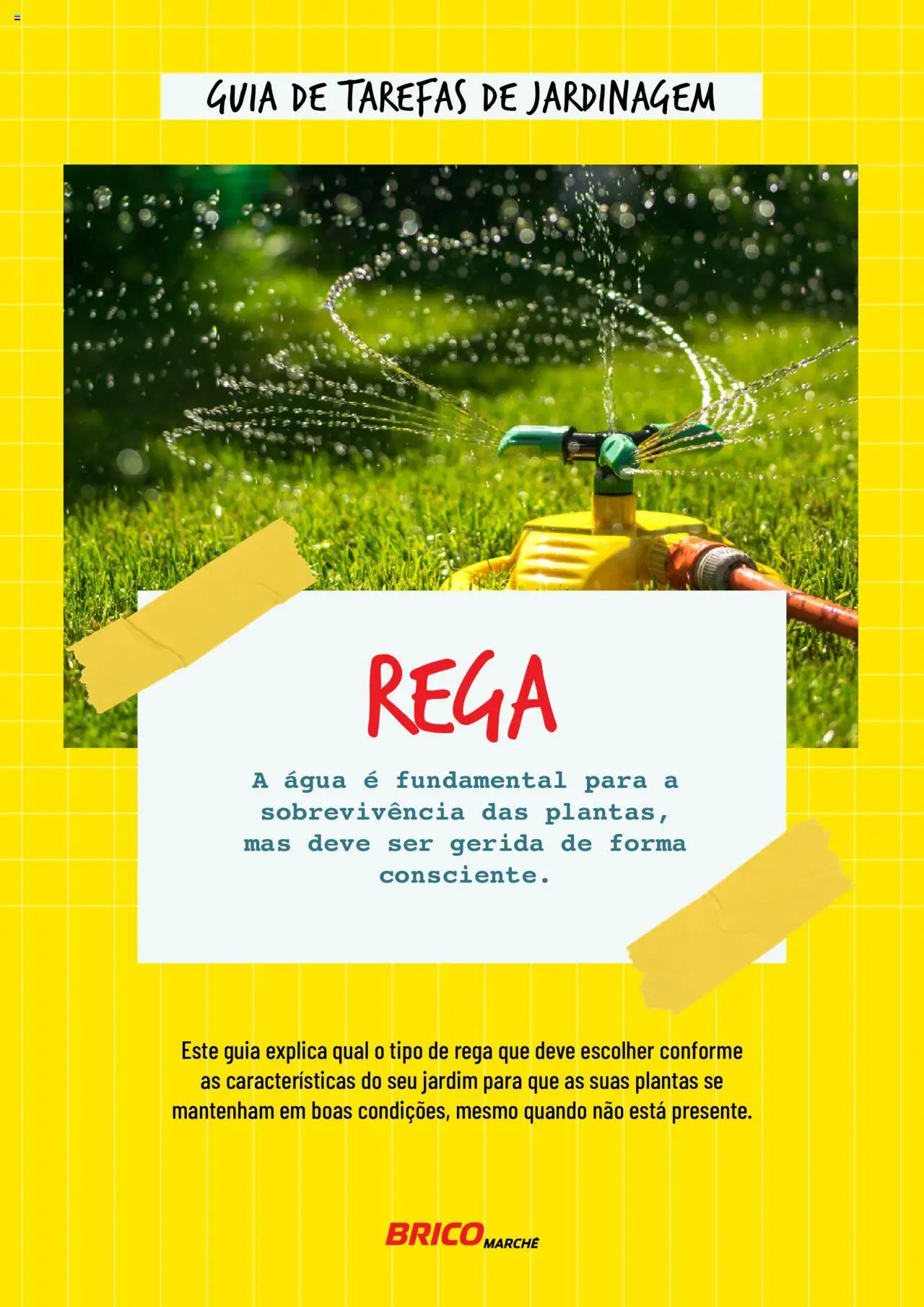 Pré-visualização do folheto da loja BricoMarché válida a partir de 17/01/2024