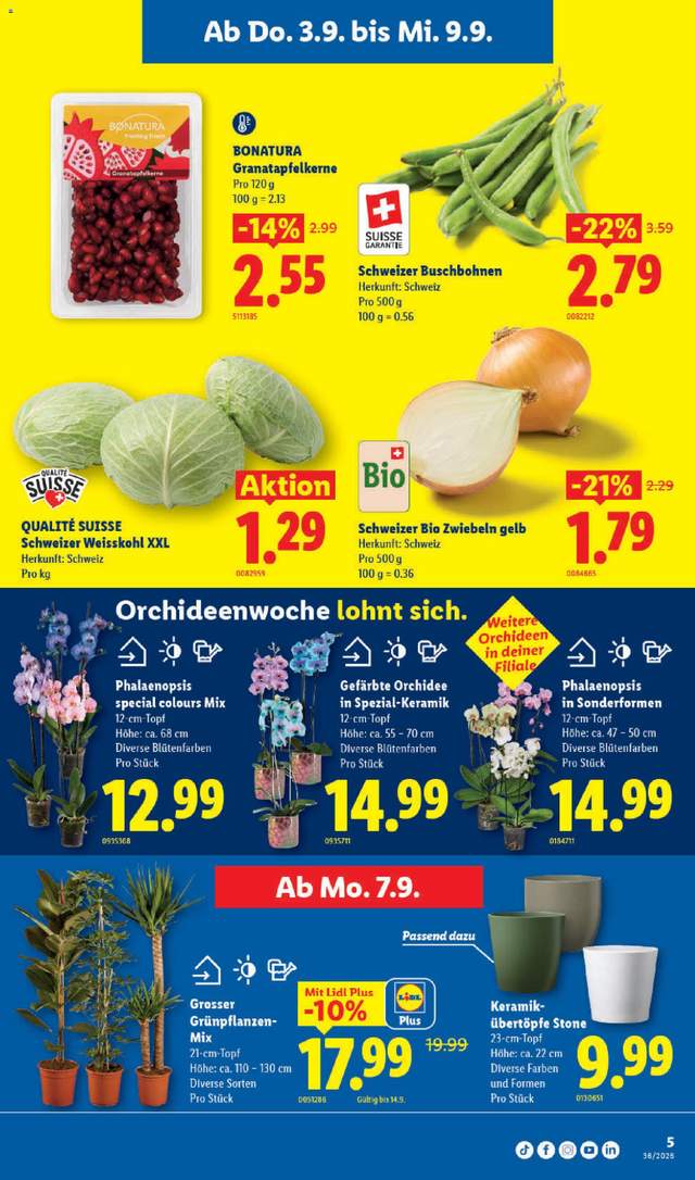 Neue Lidl Aktionen ab 03.09.