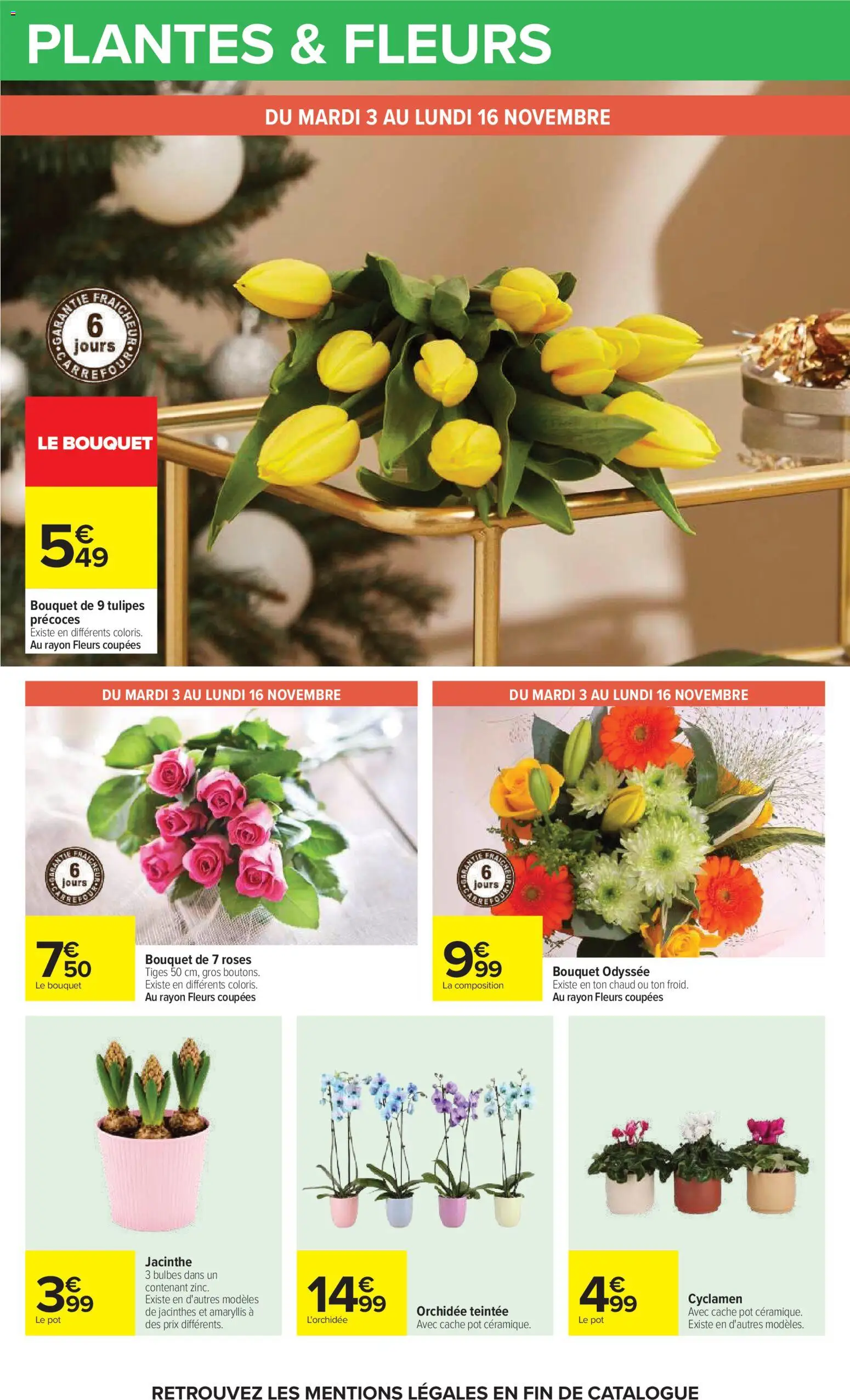 Prévisualisation de Carrefour Petit déjeuner du magasin Carrefour formulaire valide 03/11/2026 - Fleurs, Plantes, Orchidée, Tulipes, Amaryllis, Cyclamen, Jacinthe, L'orchidée