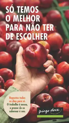 Pré-visualização do folheto da loja Pingo Doce válida a partir de 30/06/2026