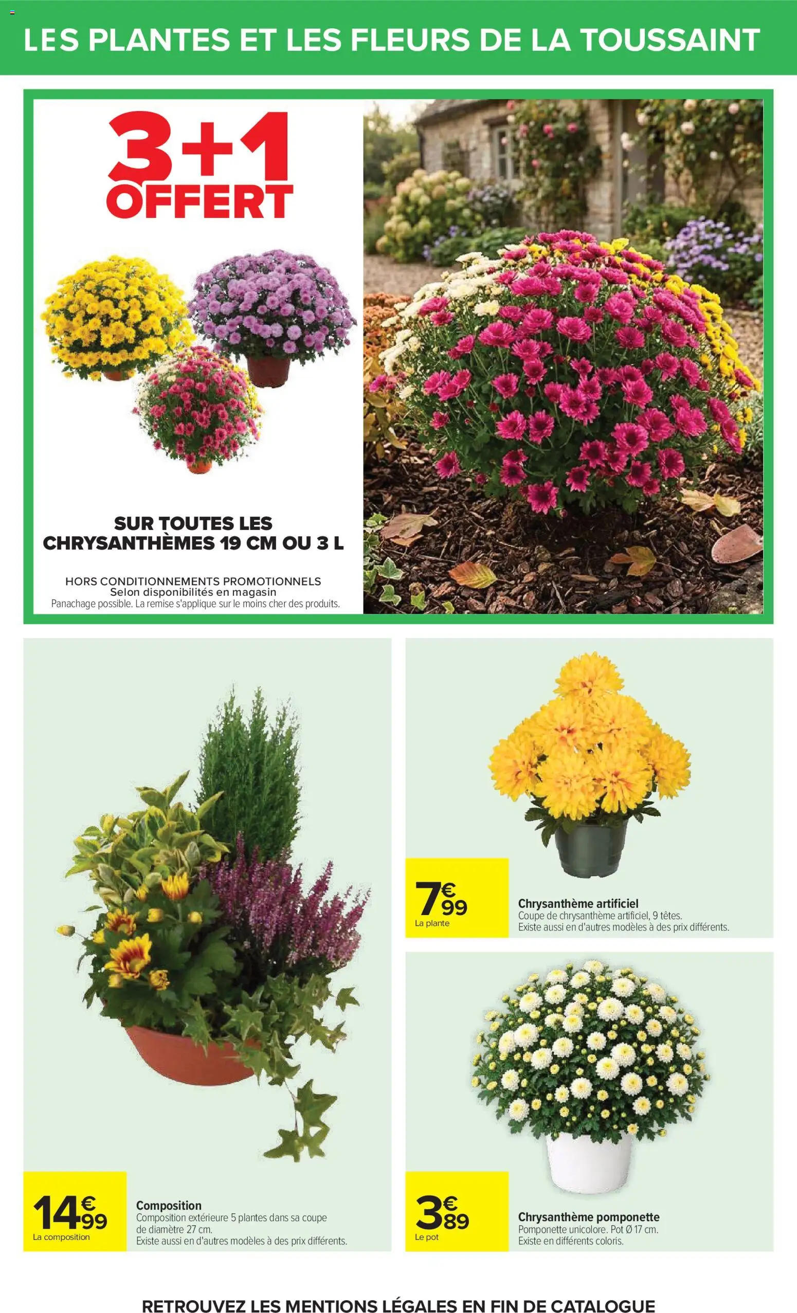 Prévisualisation de Carrefour catalogue du magasin Carrefour formulaire valide 20/10/2026 - Fleurs, Plantes, Chrysanthèmes, Chrysanthème