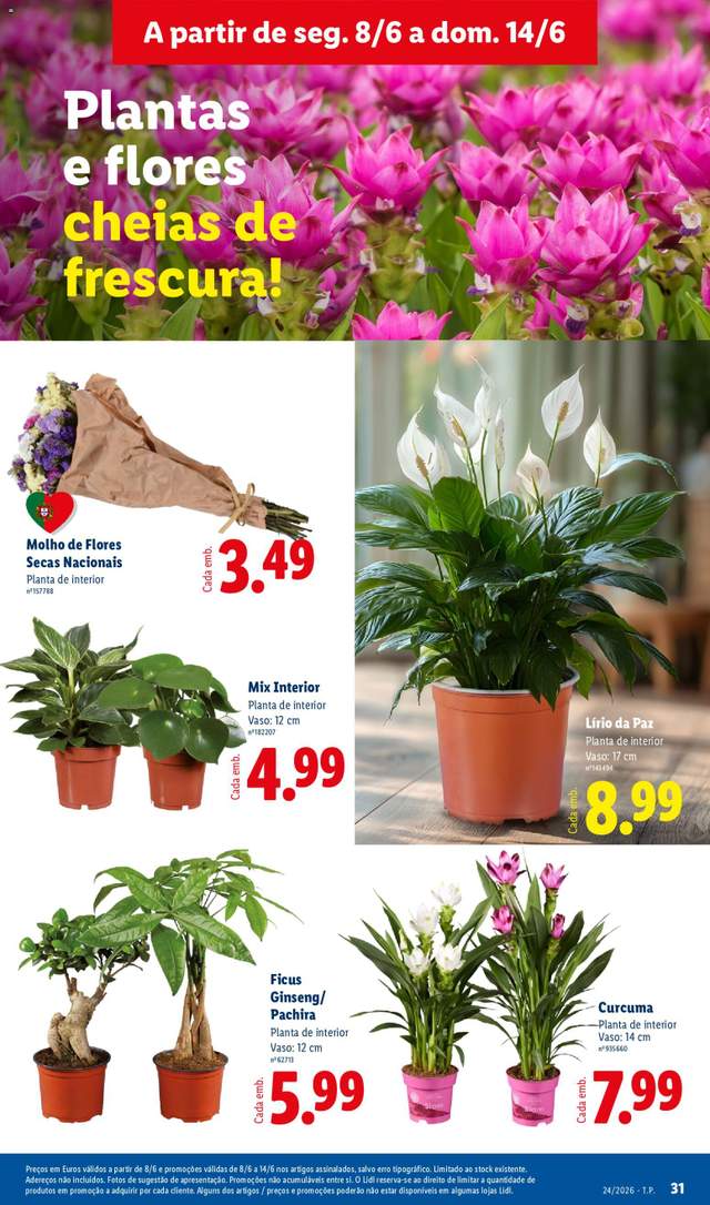 Novo folheto Lidl a partir de 08/06