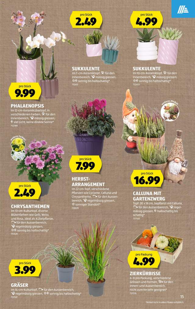 Neue Aldi Aktionen ab 08.10.