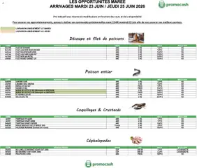 Prévisualisation de Promocash Opportunités Marée du magasin Promocash formulaire valide 23/06/2026