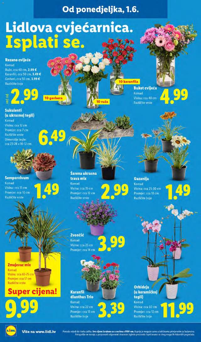 Novi Lidl katalog od 01.06.