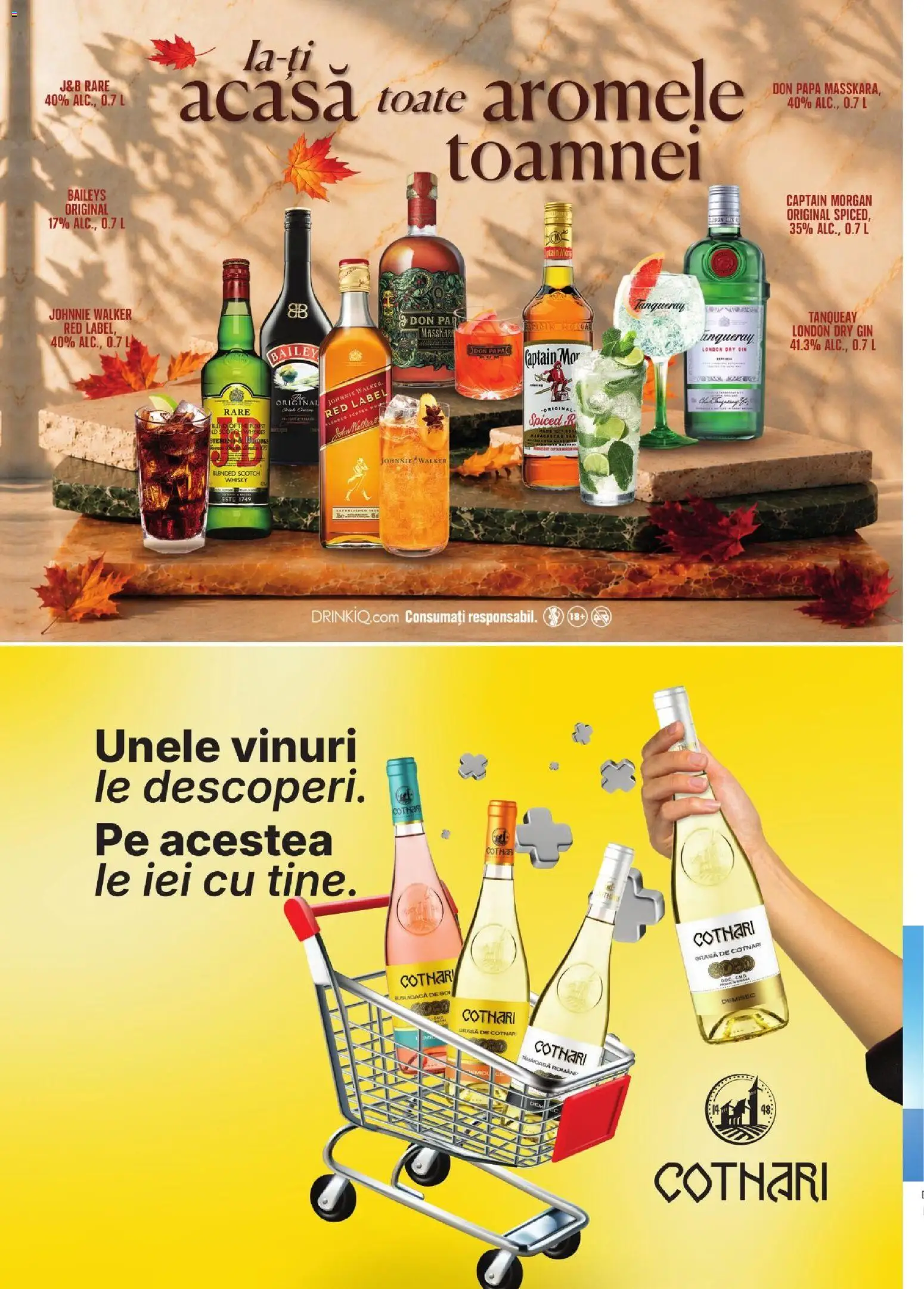 Previzualizarea de cataloage: Mega Image Mega Image Catalog Noiembrie valabil de la 01.11.2026 - Gin, Scotch Whisky