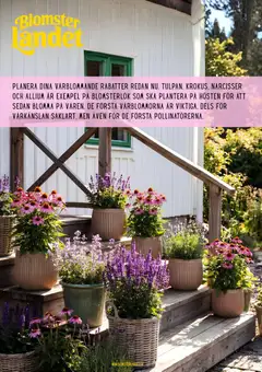 Förhandsgranska reklamblad Blomsterlandet erbjudanden från butik Blomsterlandet gäller från 13/08/2026
