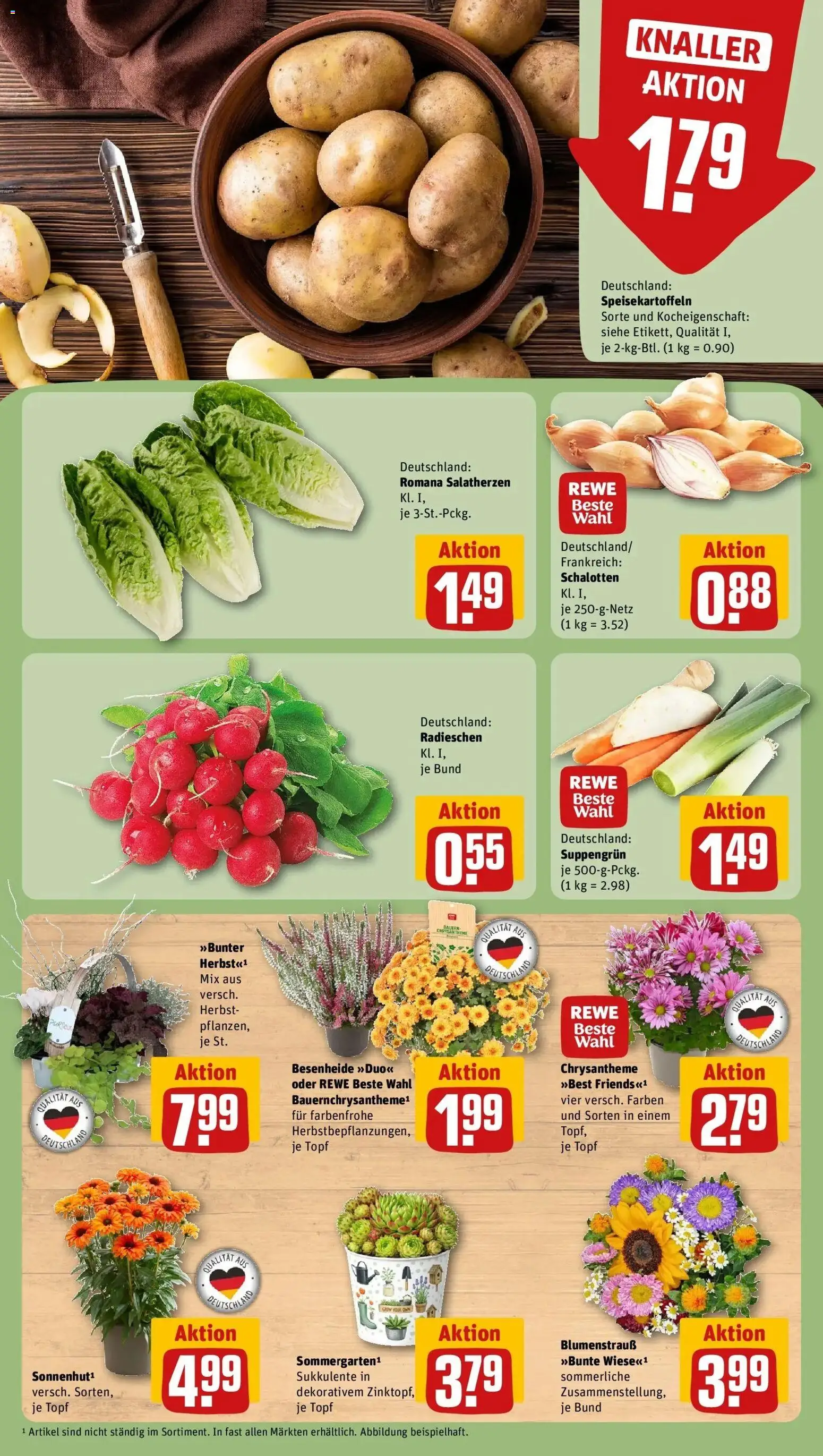 Vorschau von dem Prospekt des Geschäftes Rewe, gültig ab dem 07.09.2026