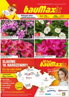 Náhled nabídky: BAUMAX BAUMAX leták platný od 01.05.2026