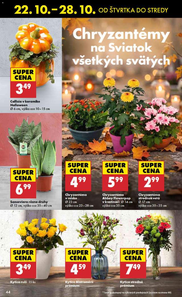 Nový Biedronka leták od 22.10.