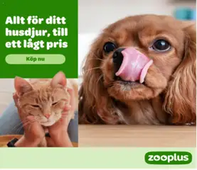 Förhandsgranska reklamblad Zooplus från butik Erbjudanden gäller från 14/08/2026