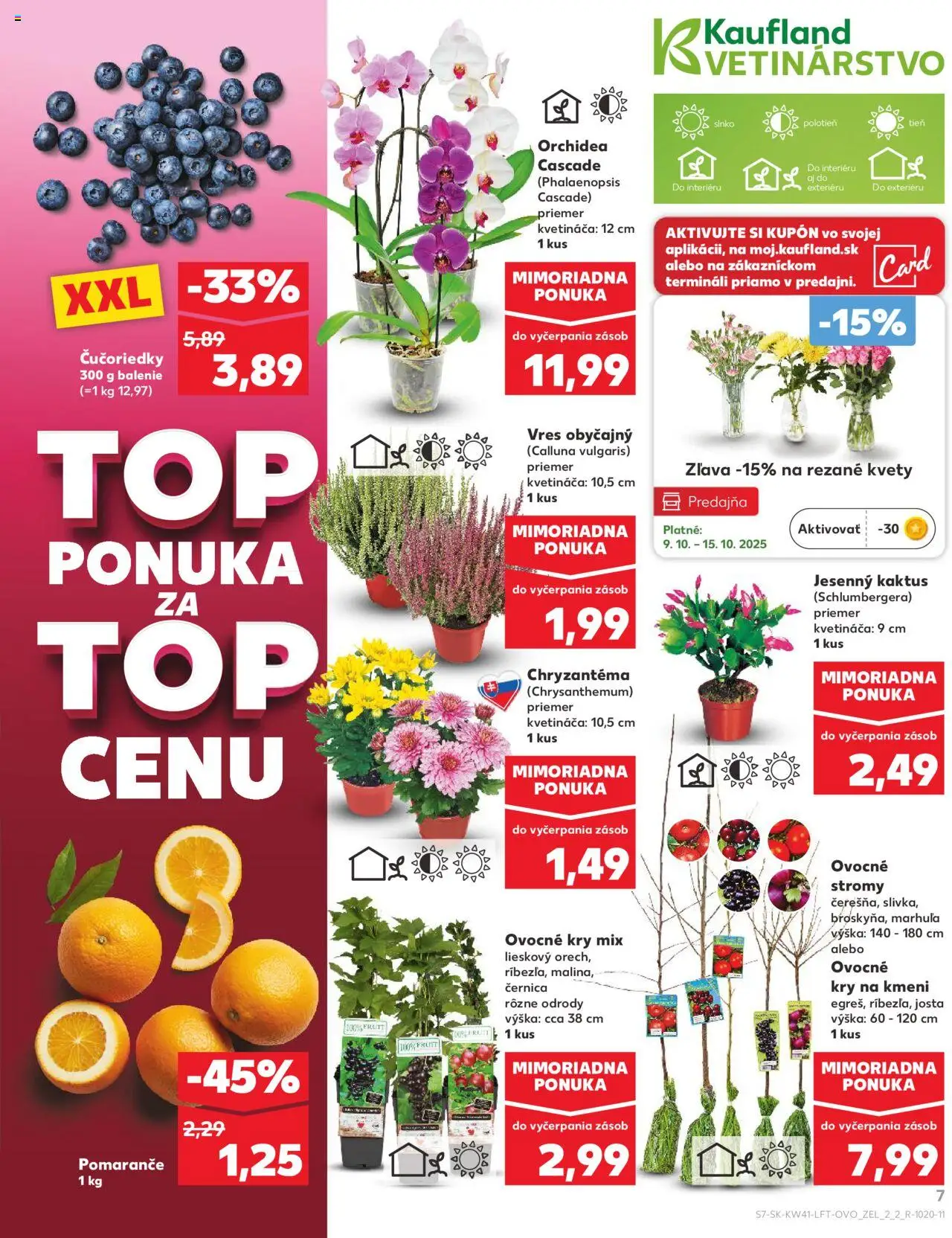 Náhľad Kaufland letáku platného od 09.10.2025 - Kvety, Orchidea, Čučoriedky, Pomaranče