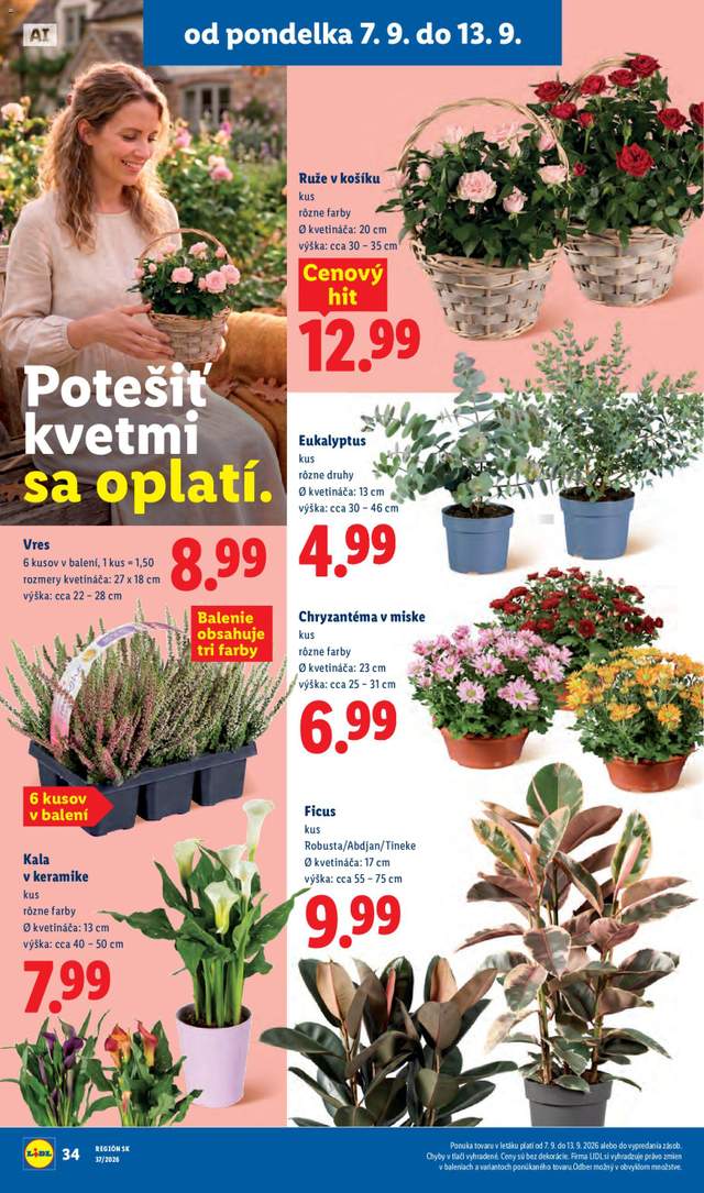 Nový Lidl leták od 07.09.